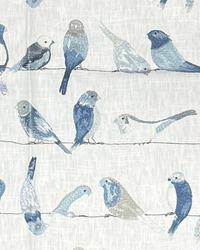 Flying Colors Bluejay by  TFA 