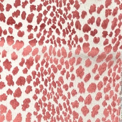 TFA Seeing Spots Petal in Textile Fabrics Associates Multipurpose Rayon  Blend Fire Rated Fabric Animal Print  Patterned Chenille  Animal Print Velvet   Fabric