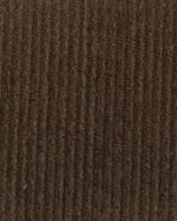 Corduroy Velvet Small Cord Dutch Chocolate by  Wimpfheimer Velvet 