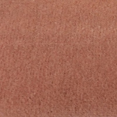Wimpfheimer Velvet Boulevard Blush Velvet Pink Multipurpose Cotton  Blend Heavy Duty Solid Velvet  Fabric
