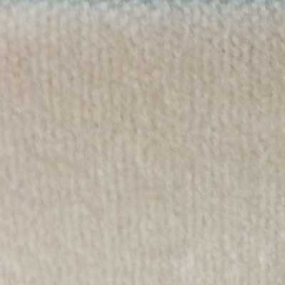 Wimpfheimer Velvet Boulevard Linen Velvet Beige Multipurpose Cotton  Blend Heavy Duty Solid Velvet  Fabric