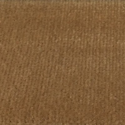 Wimpfheimer Velvet Boulevard Taupe Velvet Brown Multipurpose Cotton  Blend Heavy Duty Solid Velvet  Fabric