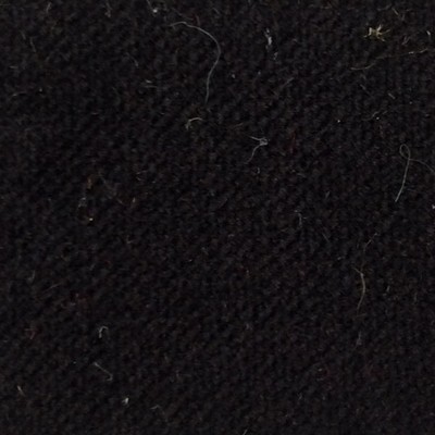 Wimpfheimer Velvet CW Velveteen Black Velvet Black Multipurpose Cotton Cotton Light Duty Solid Velvet  Fabric