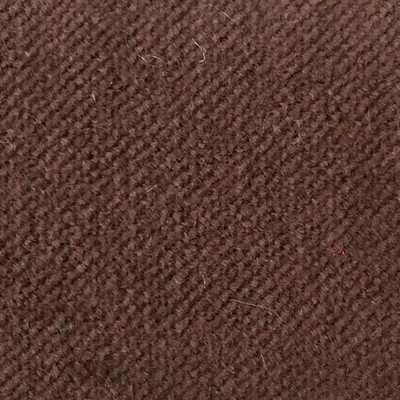 Wimpfheimer Velvet CW Velveteen Dark Chocolate Velvet Brown Multipurpose Cotton Cotton Light Duty Solid Velvet  Fabric