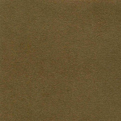 Wimpfheimer Velvet Soft Suede Moss Suede Green Multipurpose Polyester Polyester Faux Suede  Fabric