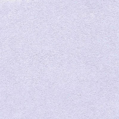 Wimpfheimer Velvet Soft Suede Sky Blue Suede Blue Multipurpose Polyester Polyester Faux Suede  Fabric