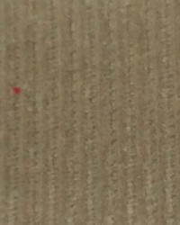Corduroy Velvet Medium Cord Stone by  Wimpfheimer Velvet 