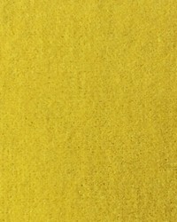 Venus Yellow by  Wimpfheimer Velvet 