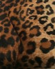 Wimpfheimer Velvet Wild Kingdom Leopard