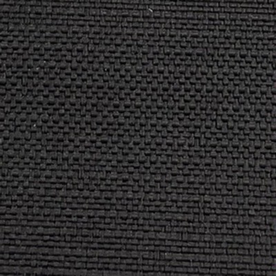 Cancun Black Outdoor Black Solution  Blend Solid Outdoor  Solid Black  Fabric