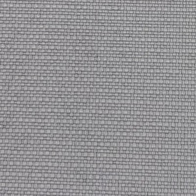 Cancun Silver Outdoor Silver Solution  Blend Solid Outdoor  Solid Silver Gray  Fabric