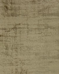 Everest Taupe by  Global Textile 