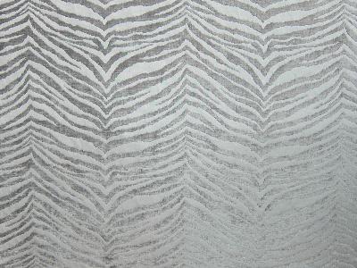 chenille,chenille fabric,zebra,zebra fabric,zebra fabrics,zebra chenille fabric,zebra upholstery fabric,world wide fabrics,Hunt Gray,260953