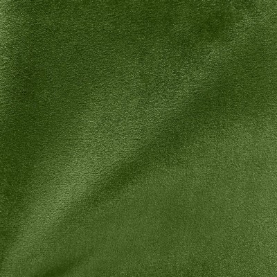 Ice Apple Sheen Velvet Ice Sheen Velvet Green Multipurpose Polyester Polyester Solid Green  Solid Velvet  Fabric