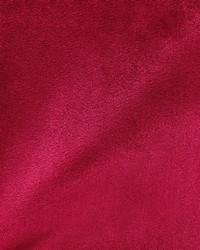 Ice Cranberry Sheen Velvet by  Global Textile 