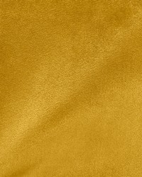 Ice Gold Sheen Velvet by  Global Textile 