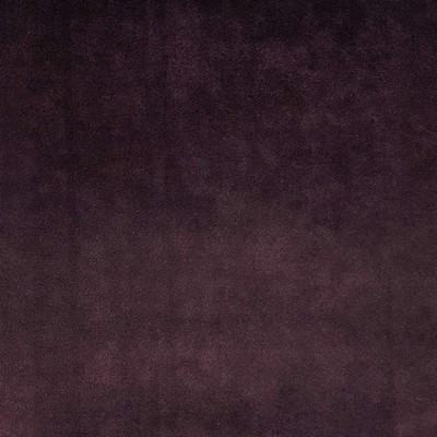 Tuscan Plum new2020 Purple Multipurpose POLYESTER POLYESTER Solid Velvet  Wool  Fabric