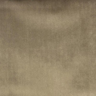 Tuscan Taupe new2020 Brown Multipurpose POLYESTER POLYESTER Solid Velvet  Wool  Fabric