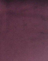 VELLUTO Plum by   
