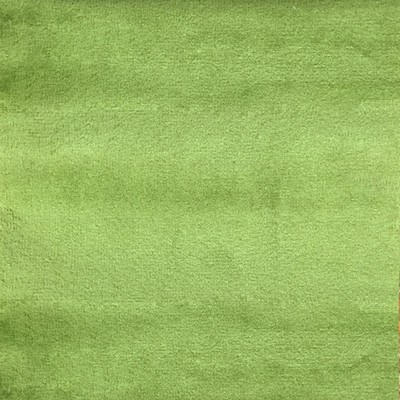Velluto Apple Velvet Velluto Green Upholstery Polyester Polyester Fire Rated Fabric Heavy Duty Solid Velvet  Fabric