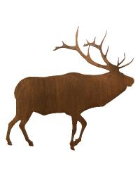 Elk Rosette by   
