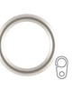 Vesta Hollow Ring w/Clip Polished Nickel