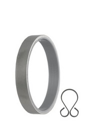 Ring with Insert Clip by   