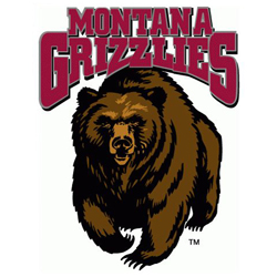 Montana Grizzlies Sports Decor