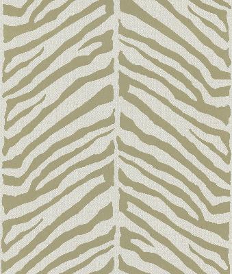 brewster home fashions,echo design collection,zebra wallpaper,animal wallpaper,animals wallpapers,discount wallpaper,wallpaper patterns,contemporary wallpaper,cheap wallpaper,modern wallpaper,wallpaper designs,home wallpaper,157120,566 44930