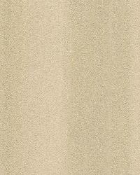 Affinia WK2338 by  Eykon Wallcovering Source 