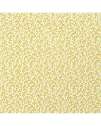 Folly Mimosa Wallpaper by   