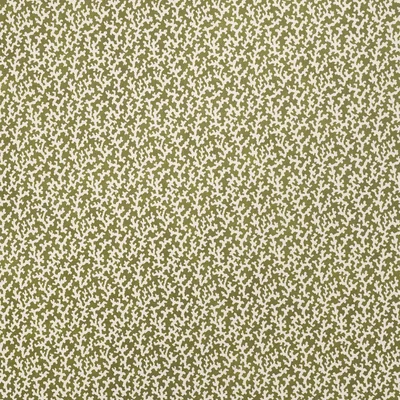 Schumacher Wallpaper Folly Olive