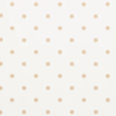 Schumacher Wallpaper Stargaze Bronze