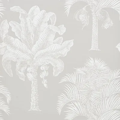 Schumacher Wallpaper Grand Palms Dove