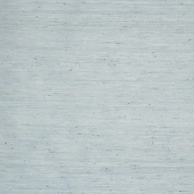 Schumacher Wallpaper Han Arrowroot Mist