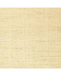 Bellezza Ground Whitewash Wallpaper by   