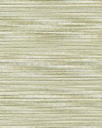 Deep Olive Green Wallcovering by   
