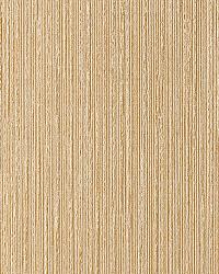 Shore Land Wigwam Wallcovering by   