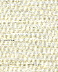Tuscon Morning Wallcovering by   