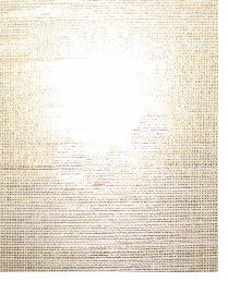 AS1041 Soft Natural gold metallic back sisal weave grasscloth by   