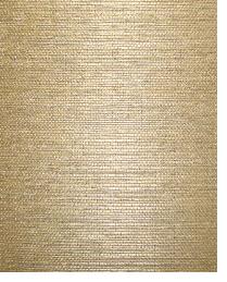 AS1046 Deep sage brown tight weave sisal grasscloth by   