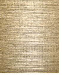 AS1046 Deep sage brown tight weave sisal grasscloth by  Washington Wallcoverings 