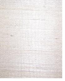 AS127 Medium Khaki brown natural grasscloth by  Washington Wallcoverings 