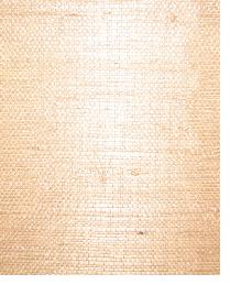 AS129 Soft Copper light brown natural grasscloth by   