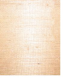 AS129 Soft Copper light brown natural grasscloth by  Washington Wallcoverings 