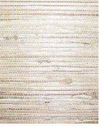 AS610 Pale straw blend natural grasscloth by   