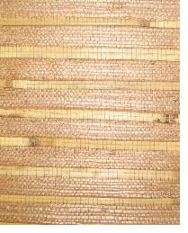 AS780 Deep beige bamboo stripe accent natural grasscloth by   