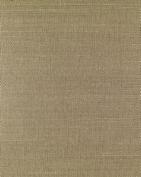 BA415 Classic Taupe Sisal Grasscloth Page 15 by  Washington Wallcoverings 
