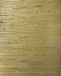 BA423 Arrowroot Textured Grasscloth Page 23 by   