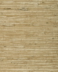 BA430 Arrowroot Natural Grasscloth Page 30 by   